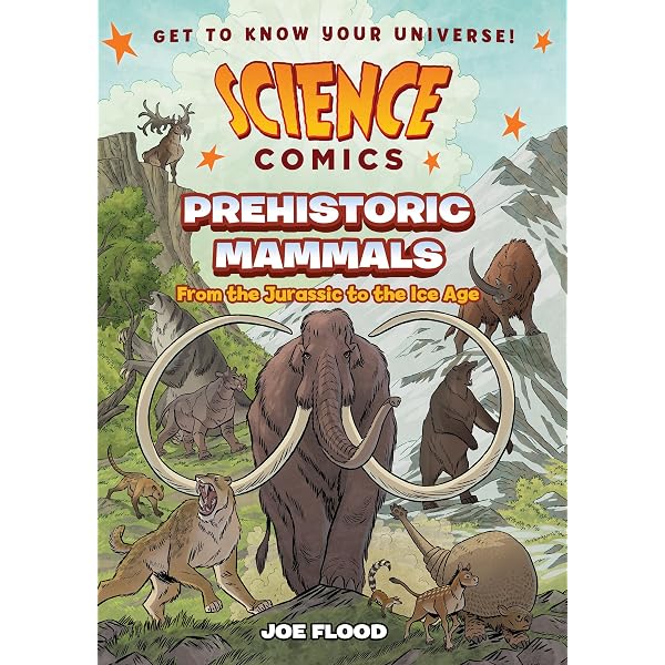Science Comics Boxed Set: Volcanoes, Dinosaurs, and Rocks and